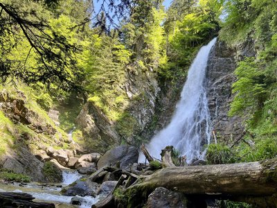 Cascade du cœur